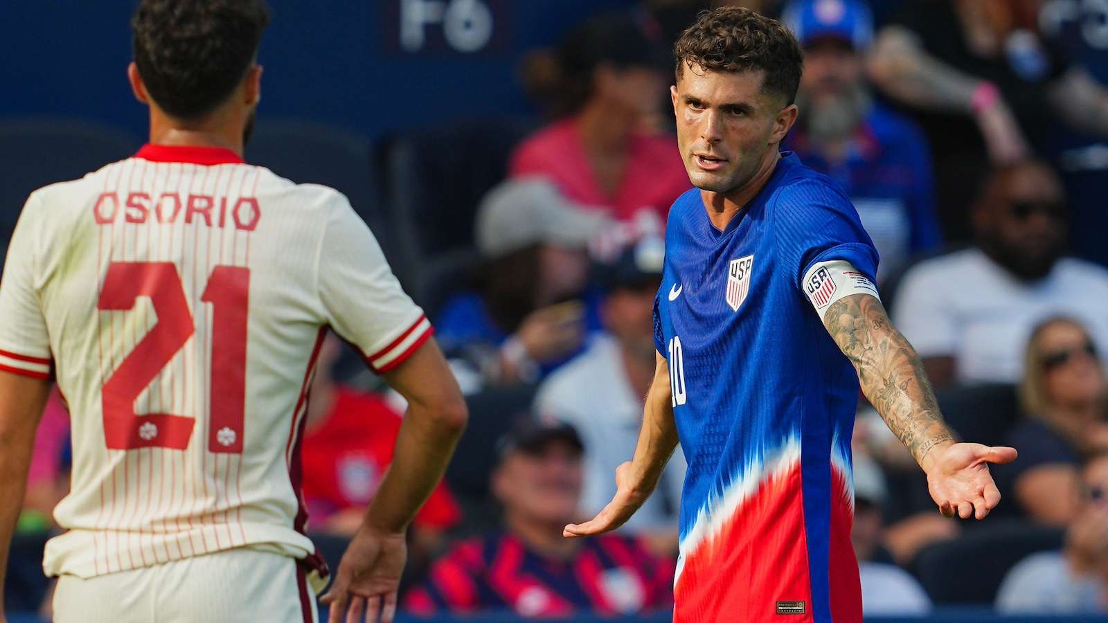 养和管理 养和管理