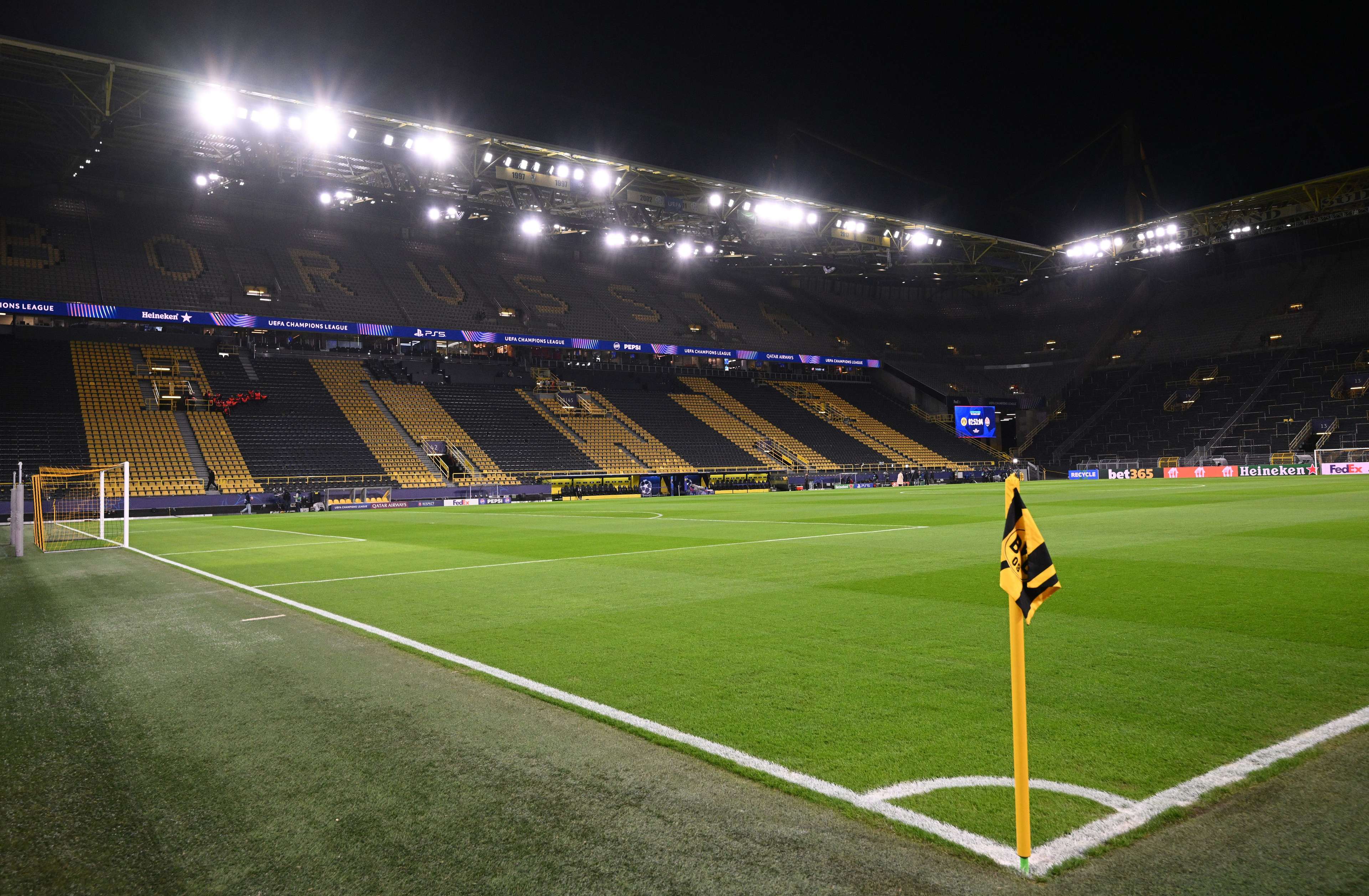 的标志不仅 的标志不仅